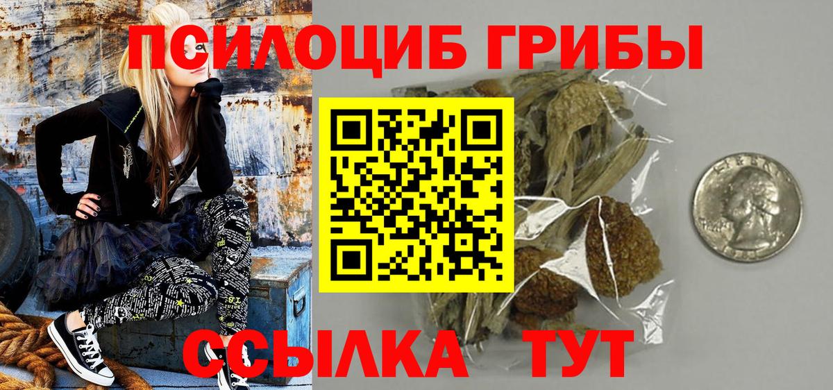 Галлюциногенные грибы Cubensis  Вход с VPN  Мытищи 