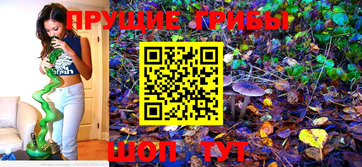 Галлюциногенные грибы Magic Shrooms Мытищи